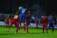 2:1 gegen Neustrelitz gewonnen Bild: 2:1 gegen Neustrelitz gewonnen