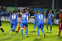 2:1 gegen Neustrelitz gewonnen Bild: 2:1 gegen Neustrelitz gewonnen