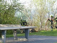Grasnarbe hatte Feuer gefangen Bild: Grasnarbe hatte Feuer gefangen