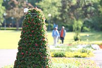 Bild: Bad F&uuml;ssings preisgekr&ouml;nter Kurpark
