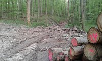 Bei Fronderode: Vermüllt und zerfahren Bild: Bei Fronderode: Vermüllt und zerfahren