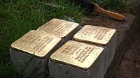 Bild: Stolpersteine gesetzt