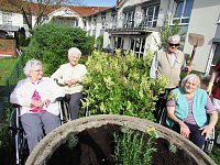 Bild: Der Fr&uuml;hling hat viele Facetten