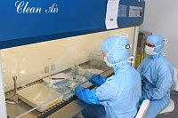 Hoch konzentriert bei der Arbeit Bild: Hoch konzentriert bei der Arbeit