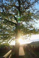Bild: Walpurgis auf der Burgruine Hohnstein