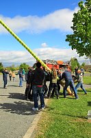 Maibaumsetzen in Wolkramshausen Bild: Maibaumsetzen in Wolkramshausen