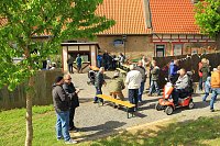 Maibaumsetzen in Wolkramshausen Bild: Maibaumsetzen in Wolkramshausen