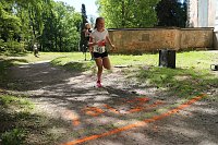 Benefizläufe im Park Hohenrode und auf dem Hohekreuz-Sportplatz Bild: Benefizläufe im Park Hohenrode und auf dem Hohekreuz-Sportplatz