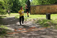 Benefizläufe im Park Hohenrode und auf dem Hohekreuz-Sportplatz Bild: Benefizläufe im Park Hohenrode und auf dem Hohekreuz-Sportplatz