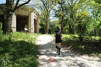 Benefizläufe im Park Hohenrode und auf dem Hohekreuz-Sportplatz Bild: Benefizläufe im Park Hohenrode und auf dem Hohekreuz-Sportplatz