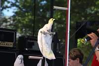 Bild: Autos und jede Menge Kultur