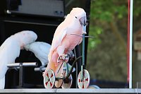 Bild: Autos und jede Menge Kultur