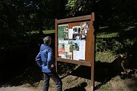 Bild: Parkfest in Hohenrode