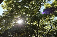 Bild: Parkfest in Hohenrode