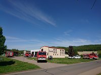 Aktionstag der Hohnsteiner Jugendfeuerwehren Bild: Aktionstag der Hohnsteiner Jugendfeuerwehren
