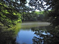 Bild: Unterwegs in Liebenrode