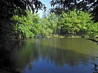 Bild: Unterwegs in Liebenrode