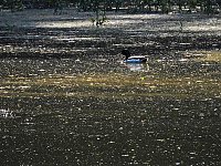 Bild: Unterwegs in Liebenrode