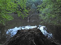 Bild: Unterwegs in Liebenrode