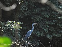 Bild: Unterwegs in Liebenrode