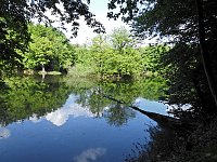 Bild: Unterwegs in Liebenrode