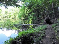 Bild: Unterwegs in Liebenrode