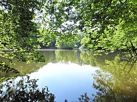 Bild: Unterwegs in Liebenrode