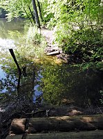 Bild: Unterwegs in Liebenrode