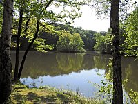 Bild: Unterwegs in Liebenrode