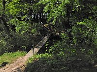 Bild: Unterwegs in Liebenrode
