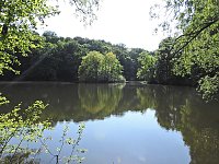 Bild: Unterwegs in Liebenrode