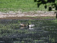 Bild: Unterwegs in Liebenrode