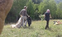 Bild: BUND-Einsatz 65: F&uuml;r Katzenpf&ouml;tchen und Sand-Veilchen