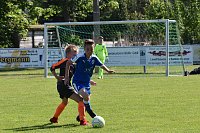 Bild: U 11 lie&szlig; in Greu&szlig;en Federn