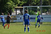 Bild: U 11 lie&szlig; in Greu&szlig;en Federn