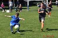 Bild: U 11 lie&szlig; in Greu&szlig;en Federn