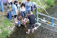 Bild: Anwassern an der Zorge