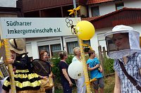 Festumzug Bild: Festumzug
