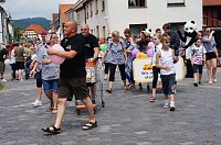 Festumzug Bild: Festumzug