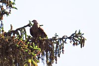 Bild: Natur pur bei am Neust&auml;dter Rosenteich