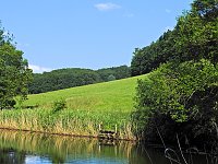 Bild: Natur pur bei am Neust&auml;dter Rosenteich