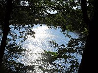 Bild: Natur pur bei am Neust&auml;dter Rosenteich