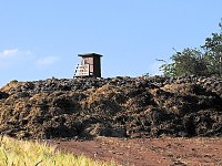Bild: Natur pur bei am Neust&auml;dter Rosenteich