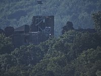Bild: Natur pur bei am Neust&auml;dter Rosenteich