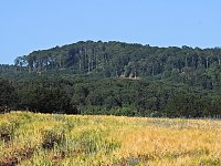 Bild: Natur pur bei am Neust&auml;dter Rosenteich