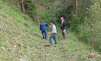 Bild: Mahd am Steilhang