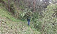Bild: Mahd am Steilhang