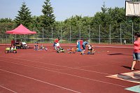 Mini-WM der Leichtathletik Bild: Mini-WM der Leichtathletik