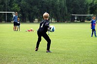 Titel geholt: Urbacher Fußballnachwuchs wird Kreismeister Bild: Titel geholt: Urbacher Fußballnachwuchs wird Kreismeister