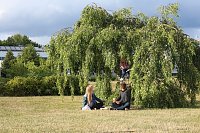 Bild: Sommerfest des S&uuml;dharzklinikums